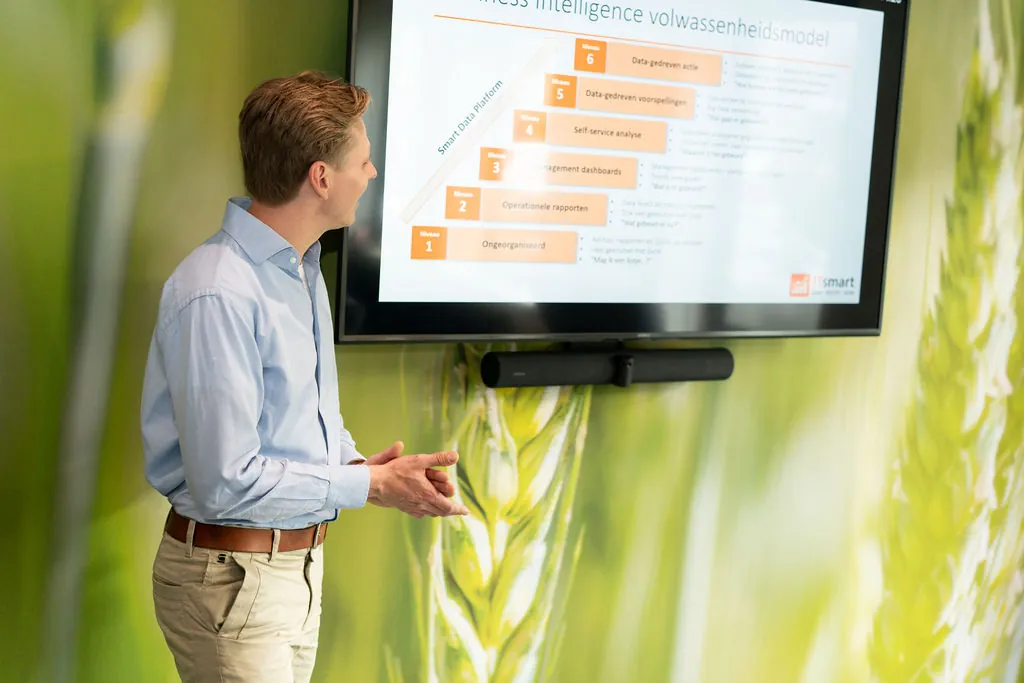 Presentatie van het BI-volwassenheidsmodel met zes niveaus